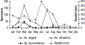 Rainfall and annual distribution of mosquitoes larvae ((Ae. albopictus, Ae. aegypti, and Hg. leucocelaenus), captured in bamboo traps located in the Parque das Dunas de Natal, Brazil, from January to December 2004.
