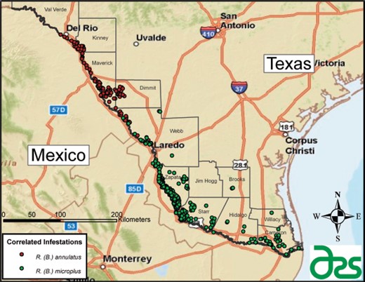 Verified infestations of R. (B.) annulatus and R. (B.) microplus in south Texas from 1 October 1999 to 30 September 2010. (Online figure in color.)