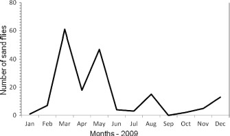 Monthly variation of phlebotomine sand flies collected in the Ibitipoca State Park, Minas Gerais state, Brazil, in 2009 by using HP light traps.