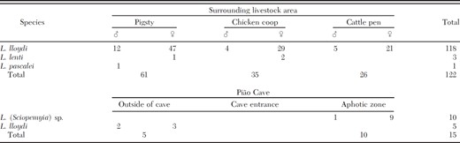 Total number of phlebotomine sand flies, by sex, collected at the surrounding livestock area and the Gruta do Pião in Ibitipoca State Park, Minas Gerais, Brazil, in 2009 by using HP light traps