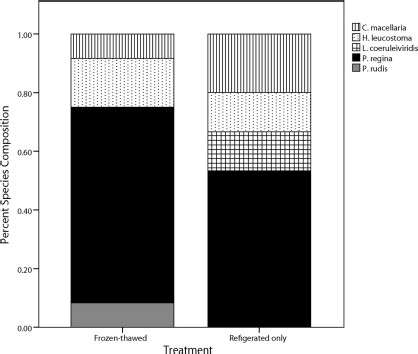 Mean percent species composition of adult flies collected from refrigerated only and frozen-thawed pig carcasses in June 2010.