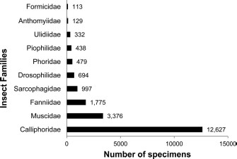 Abundance of the 10 most numerous families collected (n = 20,960).