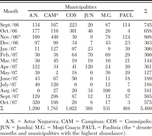 Number of specimens of C. albiceps per municipality and month of collection