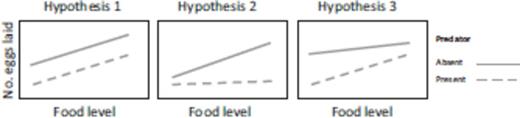 Competing hypotheses. Hypothesis 1: Independent effects of predation risk and food level should be expressed as two parallel regression lines. Hypothesis 2: Diverging regression lines indicate small effect of predation at low food level and large effect at high food levels. Hypothesis 3: Converging lines indicate large effect of predation at low food level and small effect at high food levels.