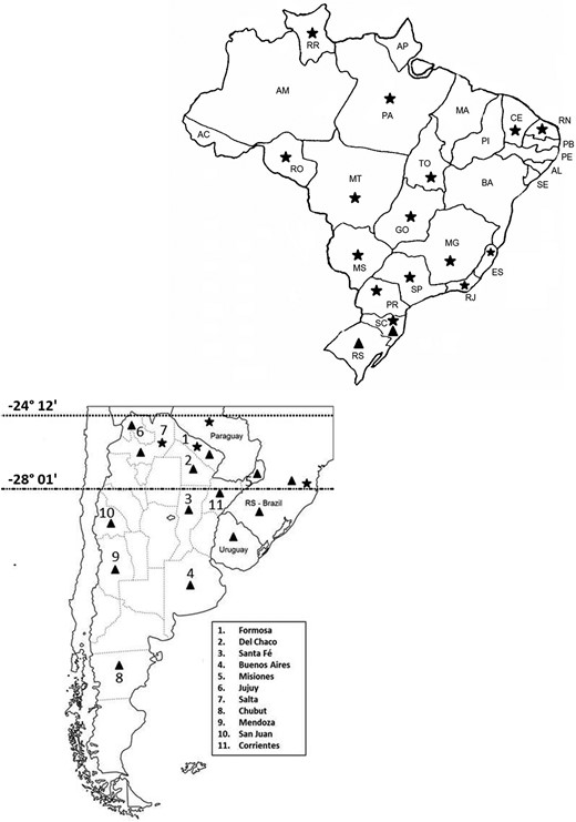 Brazilian and Southern Cone maps based on Rhipicephalus saguineus specimens analyzed and discussed throughout this study, showing the zone of overlap between the distributions of the tropical and the temperate species. Triangle—temperate species, Star—tropical species.