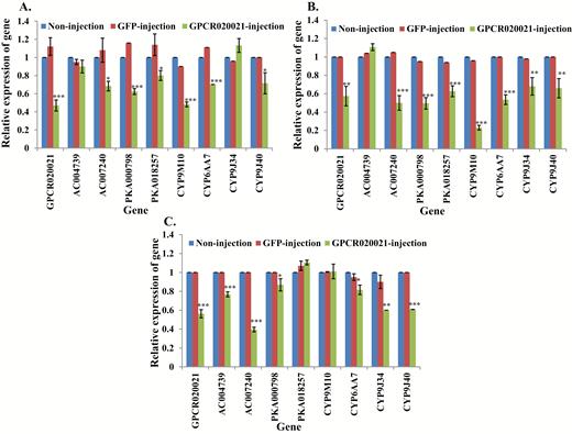 Relative expression of genes in GPCR020021 knockdown mosquitoes. mRNA levels of different genes (GPCR020021, AC004739, -007240, PKA000798, -018257, CYP9M10, CYP6AA7, CYP9J34, CYP9J40) were quantitatively tested by qRT-PCR at 3 d after dsRNA of GPCR020021 injection (green column), GFP-injected (red column), or non-injection mosquitoes (blue column). (A) Relative expression of genes following GPCR020021 knockdown in S-Lab strain. (B) Relative expression of genes following GPCR020021 knockdown in HAmCqG0 strain. (C) Relative expression of genes following GPCR020021 knockdown in MAmCqG0 strain. The results are shown as the mean ± SE (n ≥ 3). Statistical significance is represented by P ≤ 0.05 in the level of the gene expression among the gene-injected, GFP-injected and no-injected mosquitoes with *P < 0.05, **P < 0.01, ***P < 0.001.