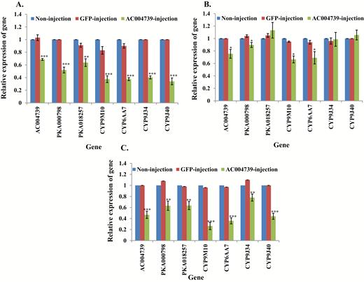 Relative expression of genes in AC004739 knockdown mosquitoes. mRNA levels of different genes (AC004739, PKA000798, -018257, CYP9M10, CYP6AA7, CYP9J34, CYP9J40) were quantitatively tested by qRT-PCR at 3 d after dsRNA of AC004739 injection (green column), GFP-injected (red column), or noninjection mosquitoes (blue column). (A) Relative expression of genes following AC004739 knockdown in S-Lab strain. (B) Relative expression of genes following AC004739 knockdown in HAmCqG0 strain. (C) Relative expression of genes following AC004739 knockdown in MAmCqG0 strain. The results are shown as the mean ± SE (n ≥ 3). Statistical significance is represented by P ≤ 0.05 in the level of the gene expression among the gene-injected, GFP-injected and no-injected mosquitoes with *P < 0.05, **P < 0.01, ***P < 0.001.