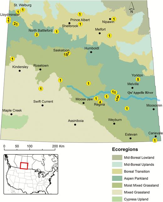 Map depicting the locations in different ecoregions of central and southern Saskatchewan from where I. scapularis adults were collected by passive surveillance (2008–2017). The number of individual ticks submitted from each location are indicated inside circles. The ecoregions are characterized based on soil types, elevation, rainfall, and the associated plant and animal communities. The Cypress Upland ranges from grasses to a mixed montane-type open forest composed of lodgepole pine, deciduous trees, and shrubs. The Mixed Grassland is semiarid and dominated by grasses (e.g., spear grass, wheat grass, and blue gramma grass), sagebrush, and other shrubs, while the Moist Mixed Grassland is dominated by spear grass, wheat grass, and shrubs (e.g., Saskatoon berry and chokecherry). The Aspen Parkland is mostly farmland and undisturbed areas characterized by trembling aspen and tall shrubs, with bur oak in drier areas, whereas the Boreal Transition represents a mix of farmland and forest characterized by tall trembling aspen with a thick understory. The Mid-Boreal Upland contains mixed coniferous and deciduous forest dominated by with stands of trembling aspen, balsam poplar, and spruce. The Mid-Boreal Lowland is a flat, low-lying region with an abundance of wetlands located in east central Saskatchewan. Common trees in the area include white spruce, balsam fir, aspen, American elm, green ash, and Manitoba maple (Environment Canada 2008, Shorthouse 2010).