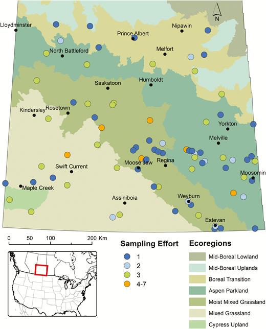 Map depicting the locations in different ecoregions of central and southern Saskatchewan from where active sampling (dragging or flagging of vegetation) for questing I. scapularis was conducted during the spring and summer (2013–2017). The different circles indicate the number of times active surveillance was performed at a locality.