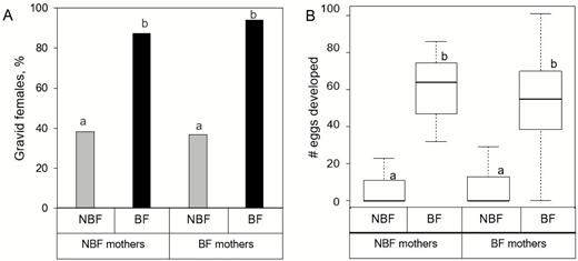 Intergenerational effect of mother’s blood-feeding status on daughter’s fecundity. Panel A depicts the effect of mother’s blood-feeding status on mean gravidity rate (±SE) of BF and NBF daughters. Panel B depicts the effect of mother’s blood-feeding status on number (median ± quartiles) of mature oocytes developed by BF (n = 135) and NBF (n = 120) daughters from the BF mothers and from BF (n = 55) and NBF (n = 47) daughters of NBF mothers. Different letters indicate statistically significant effects (P < 0.0001) based on Kruskal–Wallis tests with Bonferroni corrections.