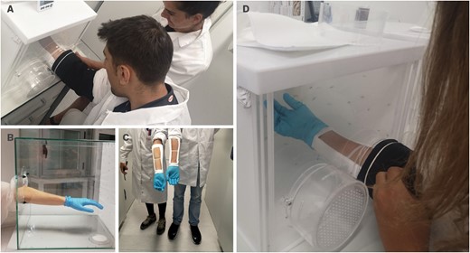 Arm-in-cage (AIC) testing. (a) Study participant with his arm in the cage and the study director who is counting/confirming landing number, (b) cage (0.064 m3) in which a study participant’s full forearm (600 cm2) is exposed, (c) study participants displaying their sleeved forearms, and (d) cage (0.040 m3) in which a study participant’s sleeved forearm is exposed (100 cm2).