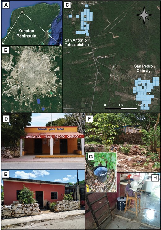 (A–C) Location of the study sites and sampled areas (in blue); (D–F) example of housing and backyards, (G) ovitrap, and (H) BG-sentinel trap employed for collections.