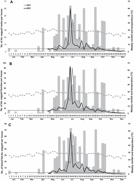 (A) Average number of adult Ae. aegypti males, (B) Ae. aegypti females, and (C) blood-fed females collected in 24-h cycles at BG traps/houses per week and average temperature (dotted gray line) and monthly rainfall (gray bars) from May to December 2017 in SPC and TAH. The dotted horizontal line represents the weekly average of Aedes abundance for both localities during the dry season (W1–W20).