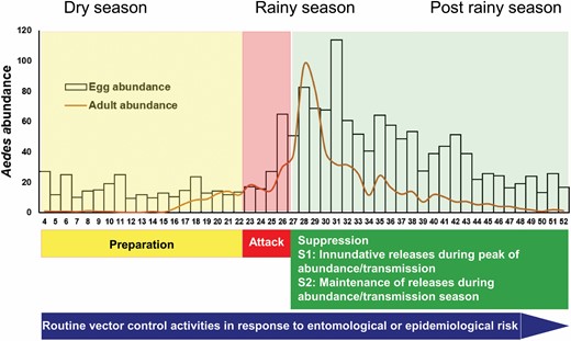 Proposed pilot IVM plan combining ‘traditional Aedes control’ and IIT/SIT based on the release of X-ray irradiated male Ae. aegypti carrying Wolbachia for population suppression. The strategy will be structured in three phases: Preparation: with community sensitization and engagement, and baseline entomological studies; Attack: initial traditional vector control; and Suppression phase: S1: inundative releases during peak of abundance/transmission and S2: maintenance of releases during abundance/transmission. Curves of egg and adult abundances are based on the average results from both study sites.