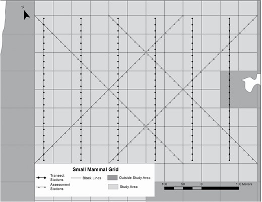 Layout of trap stations placed on north–south ‘transect’ lines and diagonal ‘assessment’ lines on a 600 m × 400 m small mammal trapping grid on the Holt Research Forest, Arrowsic, Maine, 1983–2019.
