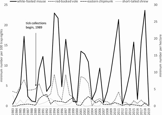 Population fluctuations of the four most commonly captured small mammal species on the Holt Research Forest, Arrowsic, Maine, 1983–2019: white-footed mouse, red-backed vole, eastern chipmunk, and short-tailed shrew.
