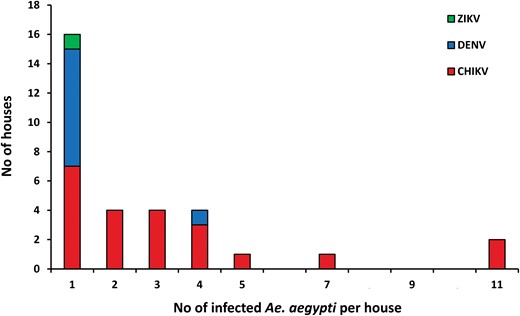 Distribution of the number of male Ae. aegypti positive for CHIKV, DENV, and ZIKV detected per house in Mérida, Yucatán, México during 2016–2017.