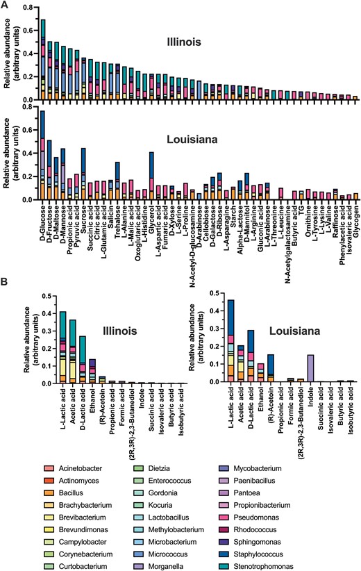Metabolic profile of T. sanguisuga gut microbiota. A) Carbon source use and B) fermentation products relative abundance were predicted based on microbiota composition at the genus level. The contribution of each genus for the use/production of the respective metabolites is color-coded as indicated. Both carbon sources and fermentation products were highly similar between bugs from Illinois and Louisiana (R2 = 0.72, P < 0.0001 and R2 = 0.78, P < 0.0001, respectively).
