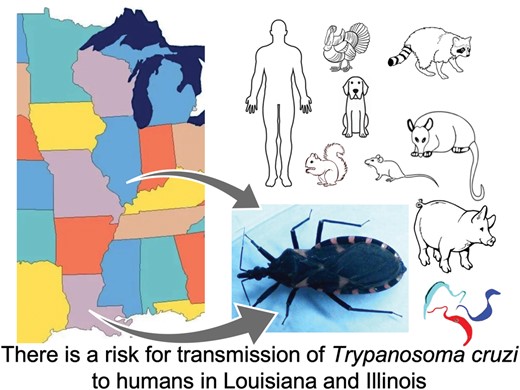 Graphical Abstract