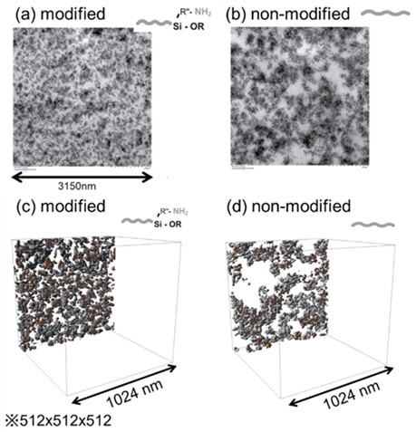 (a,b) Snapshots of TEM observations and (c,d) FIB-SEM observations.