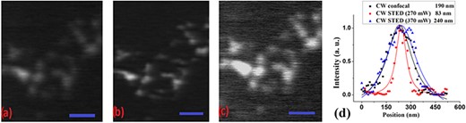 A side-by-side comparison of carboxylate-modified fluorescent beads recorded in the (a) CW confocal and (b) CW STED configurations. Closely spaced beads are not well resolved in the CW confocal image, but are better discernible in the CW STED recordings. (c) As previously observed background effects appeared in the CW STED configuration when we increased the depletion power to 370 mW. Scale bar in all images is 1 μm. The normalized intensity profiles in (d) show that the spatial resolution measured approximately 190 nm for the CW confocal image, and for the CW STED image, it was determined to be $\sim$83 nm at depletion power of 270 mW and 240 nm at depletion power 370 m.