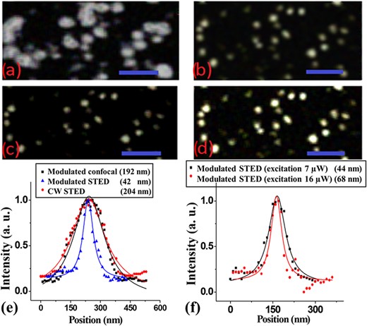 Images for (a) modulated confocal at an excitation power of 16 μW, (b) modulated STED at an average excitation power of 16 μW and depletion power of 410 mW, (c) modulated STED at an average excitation power of 7 μW and depletion power of 310 mW and (d) modulated STED image at an excitation power of 16 μW and depletion power of 310 mW. The sample consisted of carboxylate-modified 20-nm beads, and the same sample region was imaged by the different approaches. Scale bar is 500 nm for all images. (e) Normalized intensity profiles of the same bead in three imaging configurations described in (a), (b) and for CW STED (image is not shown). The CW STED at a high power level shows degradation in the spatial resolution compared with the results of the confocal image. On the other hand, the spatial resolution measured for the modulated STED image at (b) was approximately 42 nm and that for the modulated confocal was $\sim$192 nm, at excitation power of 16 μW and depletion power of 410 mW. (f) Normalized intensity profiles of the same bead in the two images in (c) and (d). The spatial resolution measured for the modulated STED image at excitation power of 7 μW and STED power of 310 mW was approximately 44 nm and that for the modulated STED image at excitation power of 16 μW and STED power of 310 mW was approximately 68 nm. The full-width at half-maximum shown in the profiles was estimated based on a fitted Lorentzian curve.