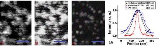 Comparison of the (a) AC-modulated confocal and (b) CW STED images for the 20-nm carboxylate-modified fluorospheres embedded in a medium (Vectashield) that creates a significant refractive-index contrast. (c) Modulated STED image for the same sample and area as in (a) and (b). Scale bar is 500 nm in all images. (d) The normalized intensity profiles of the same particles in the modulated STED image, CW STED and its modulated confocal counterpart. The estimated average spatial resolution measured was $\sim$190 nm for the modulated confocal image, $\sim$53 nm for the modulated STED image and 240 nm in CW STED due to background effects.