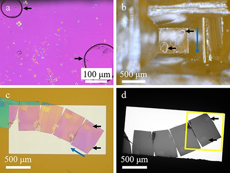 Various microscopic images of the PLLA sample. Black arrows indicate bubbles. Blue arrows indicate ultramicrotome cutting direction. (a) POM image. (b) PLLA film-mounted resin block after trimming. Image is mirror-symmetric to the image in (a) because this image was taken from the illumination direction. (c) Optical microscopy image of the SiN window chip after mounting a ribbon of ultrathin sections. (d) Low-magnification TEM image. The yellow frame indicates the imaging range of the large-area TEM image.
