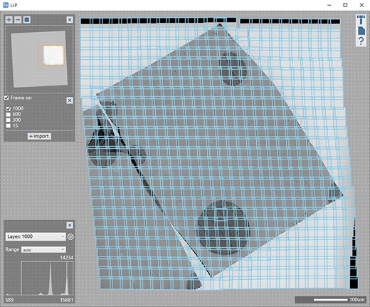 Results of large-area TEM observation, showing the field of view within the yellow frame in Fig. 1d. Each blue frame indicates an individual TEM image, all of which were pieced together by Limitless Panorama to create this image.