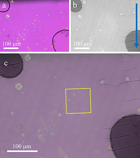 Application of CLEM to PLLA by POM and TEM. (a) POM image. (b) Large-area TEM image of the same field of view as the POM image (deformations caused during ultrathin section preparation have been corrected). Blue arrow indicates the cutting direction during the preparation of ultrathin sections. (c) Merged image of the POM and TEM images. The yellow frame indicates the area shown in Fig. 4.