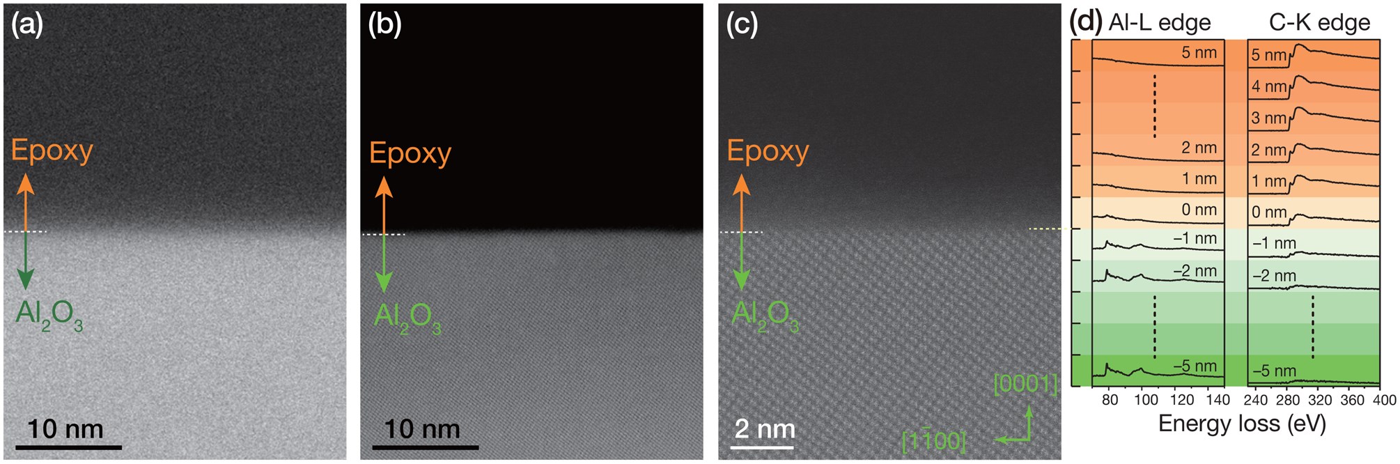 Effect of sample processing on image quality. (a–c) HAADF-STEM images of the epoxy resin/Al2O3 substrate interface. (a) Before Ar+ milling, (b) after Ar+ milling, and (c) highly magnified image of (b). (d) Al-L and C-K absorption edges in the EEL spectra collected according to the distance from in the interface.
