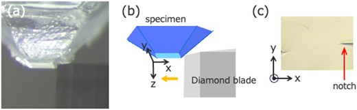 For image description, please refer to the figure legend and surrounding text.