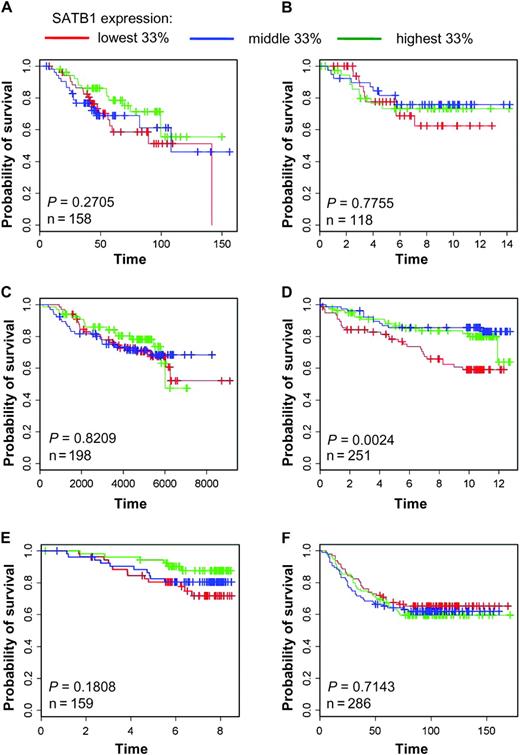  SATB1 expression in tumors from patients with primary breast cancer. Kaplan–Meier curves of overall survival of patients with breast carcinomas, stratified by tertiles of SATB1 expression, were plotted from data from six independent microarray studies ( 18–23 ). A ) Bild et al. ( 18 ). B ) Chin et al. ( 19 ). C ) Desmedt et al. ( 20 ). D ) Miller et al. ( 21 ). E ) Pawitan et al. ( 22 ), F ) Wang et al. ( 23 ). Cox proportional hazard models were fitted to the data, and χ 2 tests were used to assess statistical significance of differences in overall survival by SATB1 expression level. All statistical tests were two-sided. 