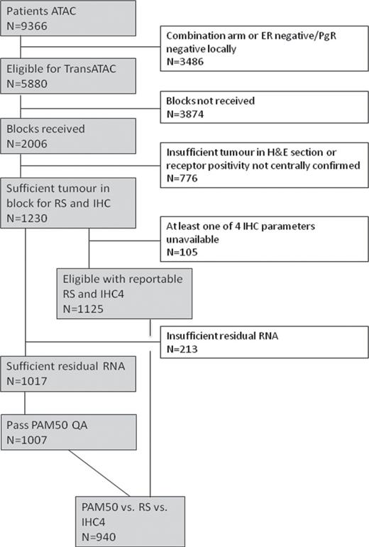 Consolidated Standards of Reporting Trials flow diagram for study numbers. ATAC = anastrozole, tamozifen, alone or in combination; ER = estrogen receptor; H&E = hematoxylin & eosin stain; IHC = immunohistochemical markers; PgR = progesterone receptor; QA = quality assurance; ROR = risk of recurrence; RS = recurrence score.