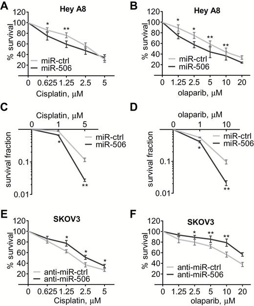 MiR-506–mediated regulation of RAD51 affects sensitivity to cisplatin or a PARP inhibitor in ovarian cancer cells. HeyA8 cells were transfected with either miR-Ctrl or miR-506 mimic. Conversely, SKOV3 cells were transfected with either anti-miR-Ctrl or anti-miR-506. Cell viability was assayed by MTT assay (A, B, E, F) and clonogenic cell-survival assay (C and D). Curves were generated from three independent experiments. miR-506 mimic and sensitivity to cisplatin and PARP inhibitor olaparib (A-D), anti-miR-506 LNA and sensitivity to cisplatin and olaparib (E and F). * P < .05; ** P < .01, two-sided Student’s t test. Data represent the mean ± SD from three independent experiments.