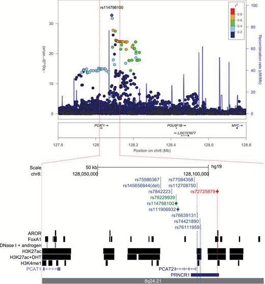 Regional association plot of the 8q24 risk region in men of African ancestry. Single-nucleotide polymorphisms (SNPs) are plotted by position ( x-axis ) and -log 10P value ( y-axis ). The most associated SNP ( purple diamond ) is rs114798100, and the surrounding SNPs are colored to indicate pairwise correlation in African ancestry populations (AFR panel in 1000 Genomes). Below shows the overlap of the three most associated variants in ‘region 2’ as well as variants correlated at r 2 ≥ 0.7 with rs114798100 (green), rs72725879 (red) and rs111906932 (blue) ( Supplementary Table 7 , available online) and functional annotations from DNAseI, histone modification, and ChIP-seq experiments in LNCaP ( Supplementary Table 8 and Supplementary Methods , available online). All statistical tests were two-sided.