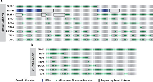 Molecular profile of ERBB2 and ERBB3 mutant colorectal cancer patients from the MD Anderson Cancer Center, the Nurses’ Health Study/Health Professionals Follow-Up Study, and a ctDNA cohort. A) Patients with tissue-based sequencing. B) Patients with ctDNA-based assays. MSI = microsatellite instability.