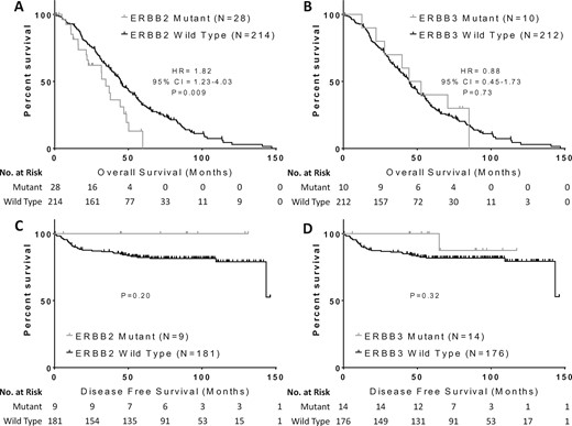 Impact of ERBB2 and ERBB3 mutations on clinical outcomes in colorectal cancer. Overall survival was compared in patients with metastatic colorectal cancer and (A)ERBB2 or (B)ERBB3 mutations compared with wild-type patients, while disease-free survival was compared in early-stage colorectal cancer patients with (C)ERBB2 or (D)ERBB3 mutations compared with wild-type patients. Groups were compared with the log-rank test and Cox proportional hazards models. All P values are two-sided. CI = confidence interval; HR = hazard ratio.