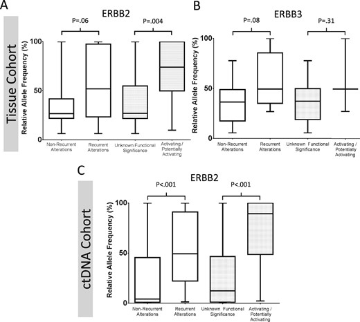 Box and whisker plot demonstrating the relative allele frequency of detected ERBB2 and ERBB3 mutations stratified by whether mutations are recurrent or confirmed to be functionally activating. Patients with tissue-based assays and detected (A)ERBB2 or (B)ERBB3 mutations are shown on the top row, while patients with ctDNA detected ERBB2 variants are shown in (C). Values represent the median, interquartile range, and range. Functional characterization is based on the literature review in Supplementary Tables 1 and 2 (available online). Groups were compared using the Mann-Whitney test, and P values are two-sided.