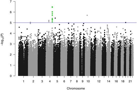 Manhattan plot from a single–single nucleotide polymorphism genome-wide association analysis, which identified 13 SNPs in close proximity on chromosome 4, all with P values of less than 10-5, with a minimum P value of 3.3 × 10-7.