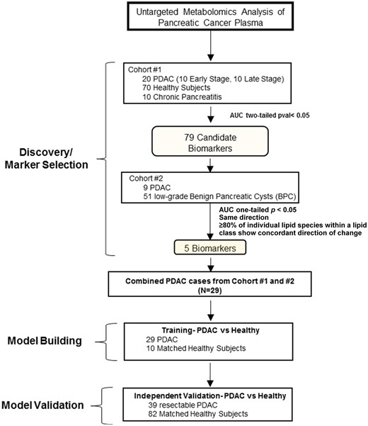 Schematic of study design. AUC = area under the curve; PDAC = pancreatic ductal carcinoma.