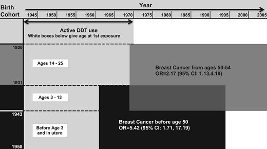 p, p’-DDT associated breast cancer by age at first exposure and age at diagnosis. The y-axis corresponds to study birth cohorts. The x-axis corresponds to calendar year. The light grey area indicates years of DDT use showing that all birth cohorts were DDT-exposed but first exposure occurred at different ages. White boxes show age at first exposure for relevant birth cohorts. The black box corresponds to birth cohorts diagnosed with breast cancer before age 50 years who were first exposed to DDT from in utero to age 13 years. The dark grey area corresponds to birth cohorts diagnosed from ages 50-54 years who were first exposed after infancy. Findings support that intrauterine and early infant p, p’-DDT exposure increases risk of premenopausal breast cancer, whereas p, p’-DDT exposure after infancy increases breast cancer risk in the early menopausal years. ORs and 95% CIs were estimated from conditional logistic regression models as described in Table 2.