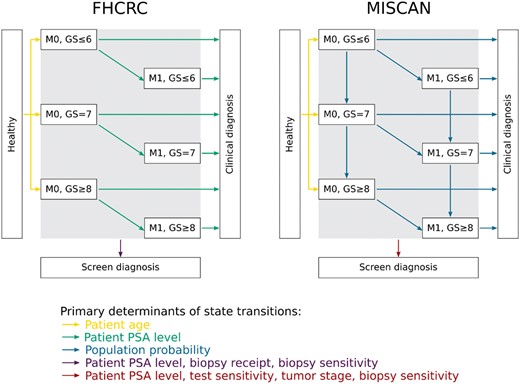 The structures of the Fred Hutchinson Cancer Research Center (FHCRC) model and the Erasmus University Medical Center-MIcrosimulation SCreening ANalysis (Erasmus-MISCAN) model. PSA = prostate-specific antigen.