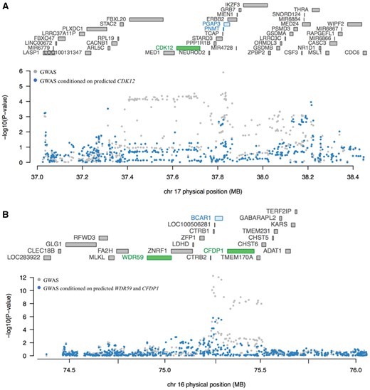 Conditional transcriptome-wide association study (TWAS) analysis for loci showing marginally statistically significant associations with multiple genes. A) Genes at chr17q12 are listed according to chromosomal location in the upper part of the plot with TWAS statistically significant genes shown in green (CDK12). The Manhattan plot for the genome-wide association studies (GWAS) results is shown in the lower part of the figure with pancreatic cancer GWAS P values before (gray) and after (blue) conditioning the analysis on imputed gene expression levels for CDK12. Genetically predicted expression of CDK12 appears to explain a large part of the GWAS-identified signal at chr17q12 in the Genotype-Tissue Expression (GTEx) dataset. B) Similarly, genes at chr16q23 are listed according to chromosomal location in the upper part of the plot with TWAS statistically significant genes shown in green (WDR59 and CFDP1). The Manhattan plot for GWAS results is shown in the lower part of the figure with pancreatic cancer GWAS P values before (gray) and after (blue) conditioning the analysis on imputed gene expression levels for WDR59 and CFDP1. Genetically predicted expression of WDR59 and CFDP1 appears to explain the majority of the GWAS-identified signal at chr16q23.1. Marginal and joint analyses were performed in the GTEx pancreas dataset for chr17q12 and in the combined Laboratory of Translational Genomics + GTEx pancreas dataset for chr16q23.1.