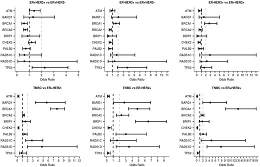 Enrichment of gene-specific mutations in breast cancer subtypes. Pairwise comparisons of gene-specific mutations in breast cancer clinical tumor subtypes defined as ER+/HER2+, ER+/HER2-, ER-/HER2+, and triple-negative breast cancer (TNBC) are shown. Only genes with one or more statistically significant odds ratio among the six pairwise comparisons were included.