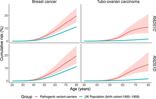 Estimated age-specific tubo-ovarian carcinoma and breast cancer cumulative risks in RAD51C and RAD51D pathogenic variant carriers. The shaded areas correspond to the 95% confidence intervals.