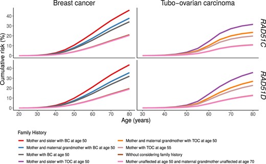 Estimated TOC and BC cumulative risks for RAD51C and RAD51D pathogenic variant carriers by cancer family history. BC = breast cancer; TOC = tubo-ovarian carcinoma.