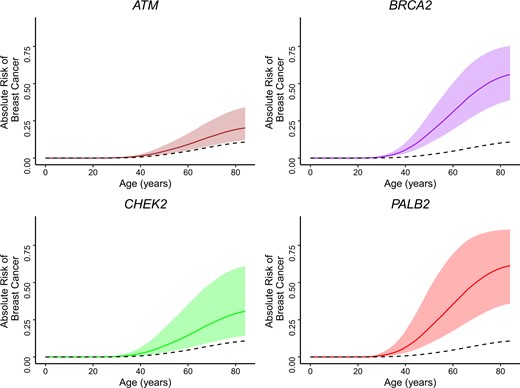 Estimates of absolute risk of breast cancer through age 85 years in African American women who are carriers of pathogenic mutations in 4 specific genes. Dotted line in each figure represents absolute risk of US population of African American women regardless of carrier status.