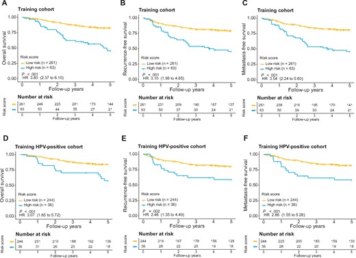 Evaluation of the microRNA signature for overall survival (OS) (A), recurrence-free survival (RFS) (B), and metastasis-free survival (MFS) (C) in the training cohort as well as OS (D), RFS (E), and MFS (F) for human papillomavirus (HPV)-positive oropharyngeal squamous cell carcinoma patients in the training cohort. The patients were stratified into either the high- or low-risk group based on signature risk score. Kaplan-Meier survival curves and log-rank P values are presented. Hazard ratios (HRs) are shown with 95% confidence intervals within parentheses. All statistical tests were 2-sided.