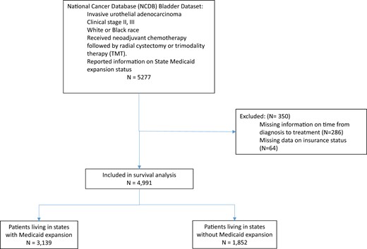 Positive DID or DDD indicates net improvement in timely treatment among Black patients compared with White patients.